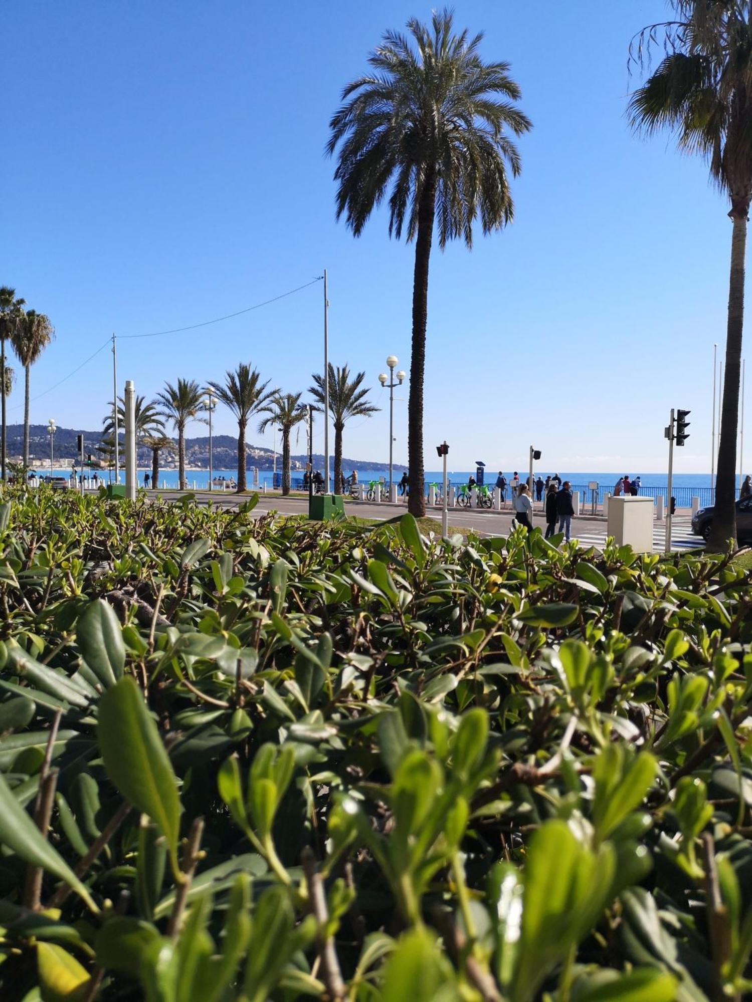 Garden Atlantide Promenade Apartment Nisa Exterior foto