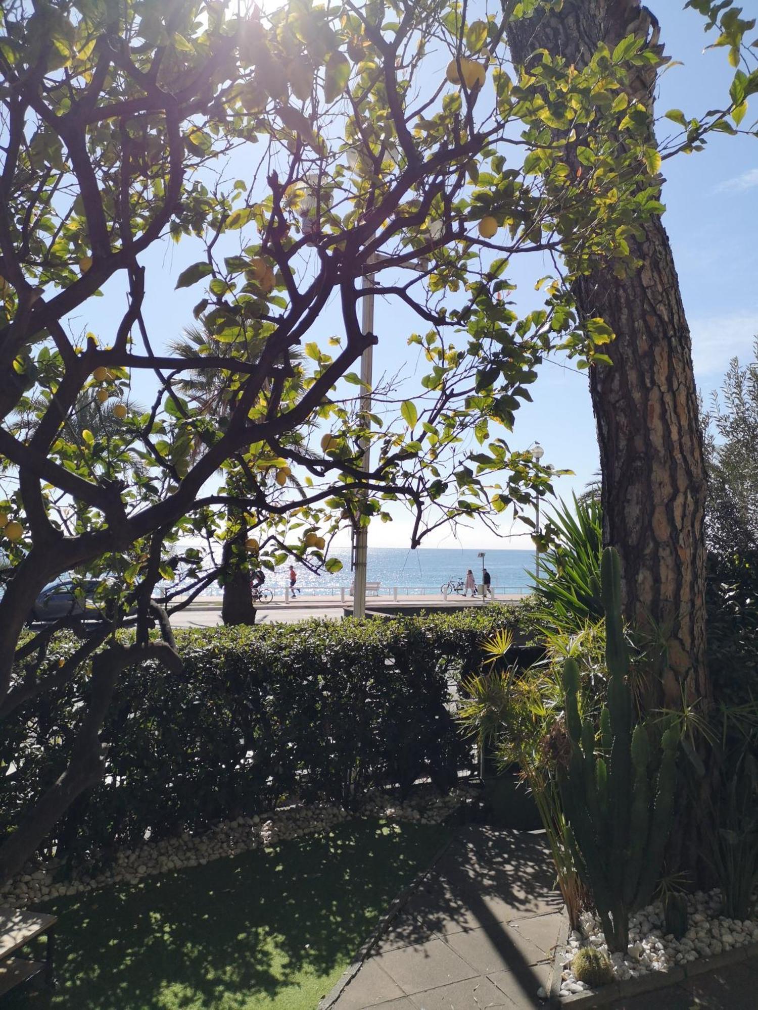Garden Atlantide Promenade Apartment Nisa Exterior foto