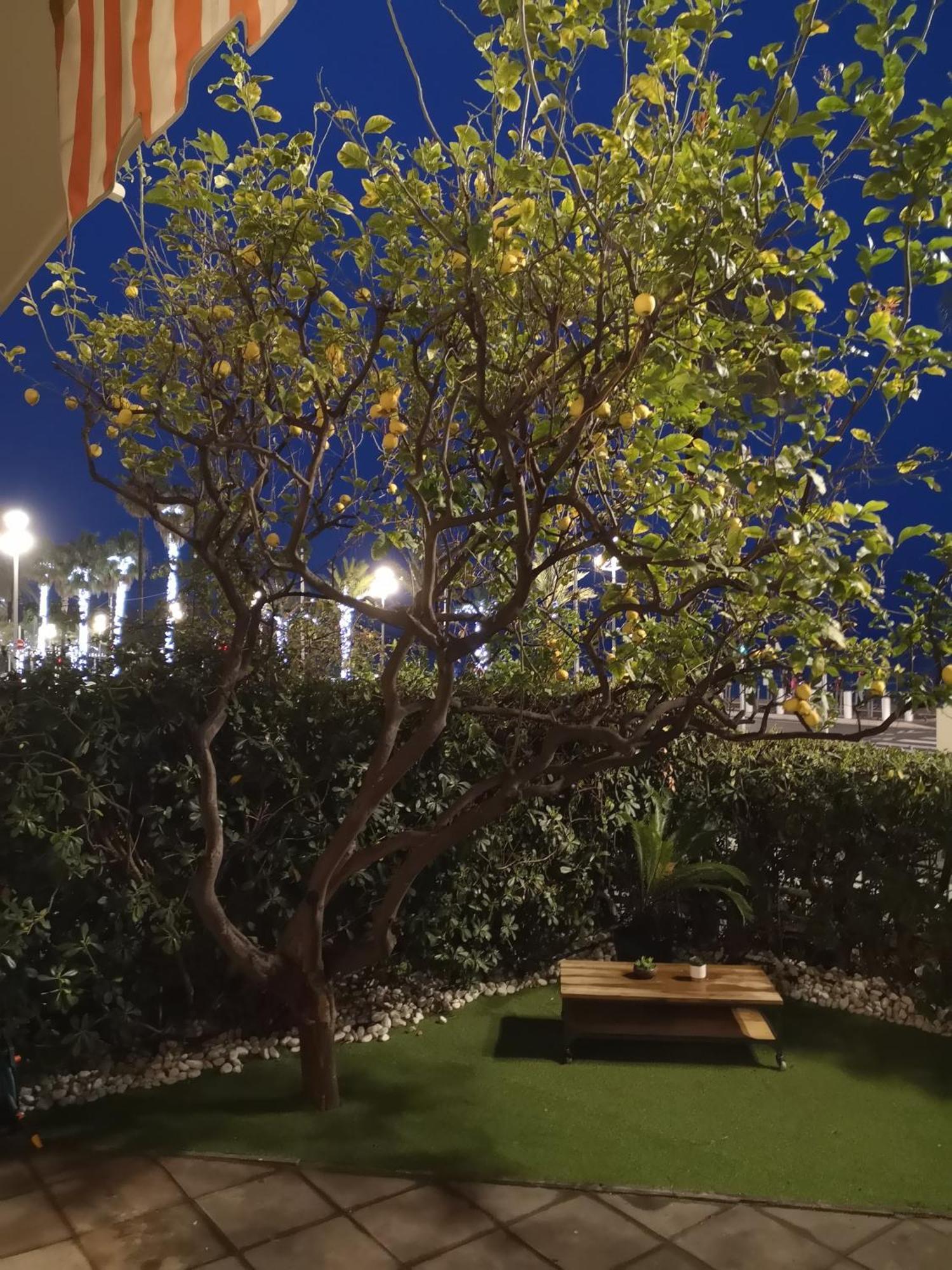 Garden Atlantide Promenade Apartment Nisa Exterior foto