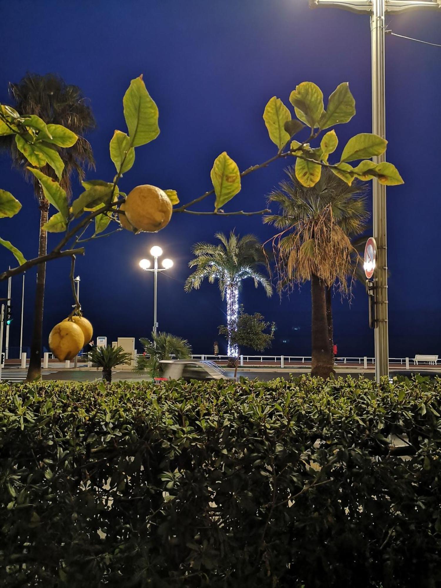 Garden Atlantide Promenade Apartment Nisa Exterior foto