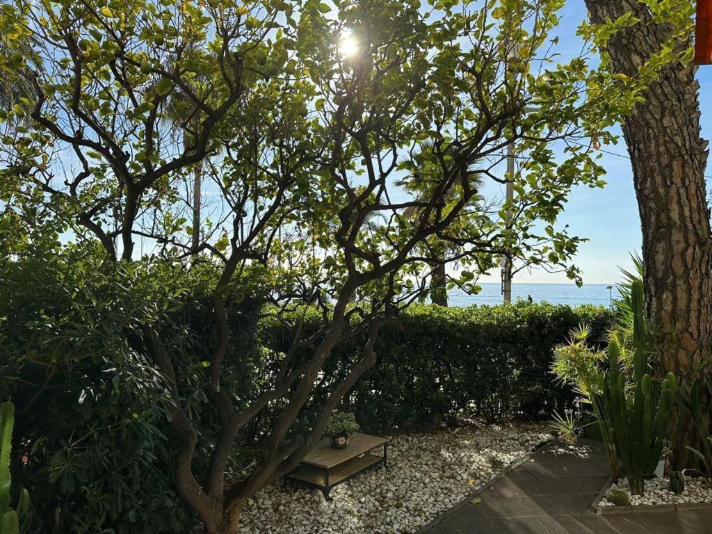Garden Atlantide Promenade Apartment Nisa Exterior foto